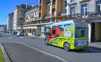 Coxitis nouvel arret