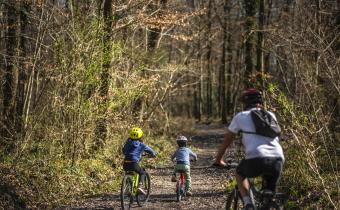 Balade à vélo à la saligue de St-Abit et Arros-de-Nay
