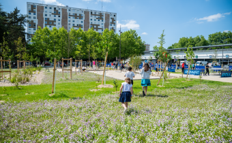 Le parc Kennedy 