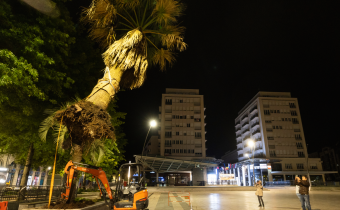 La place Clemenceau entame sa métamorphose végétale