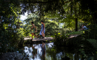 Promeneuses à l'ombre du parc Beaumont 