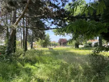 Le jardin multigénérationnel sur le site Plein Ciel : la partie forêt