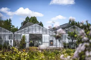 Les Sers municipales de Pau