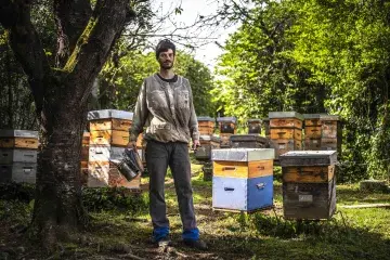 Sylvain Masseillou, apiculteur à Lescar