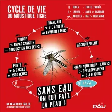 Affiche contre le moustique tigre