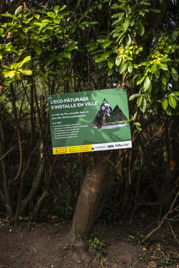 L'éco-pâturage dans les parcs : la panneau
