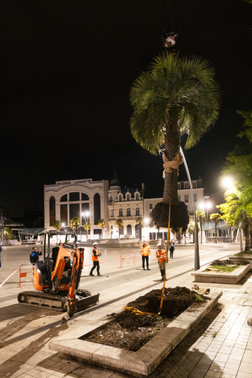 La place Clemenceau entame sa métamorphose végétale