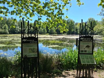 Lac des Carolins 