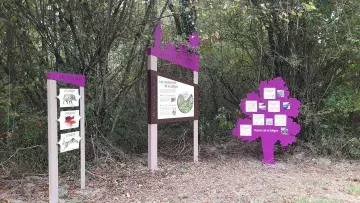 Sentier d'interprétation Mémoire Saligue