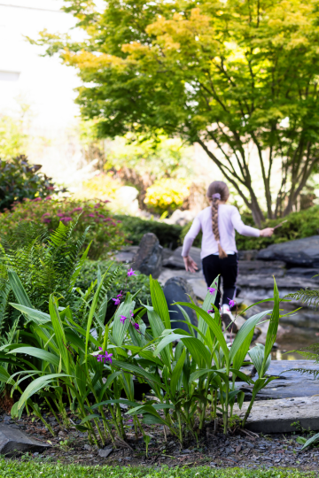 Le jardin de Kofu