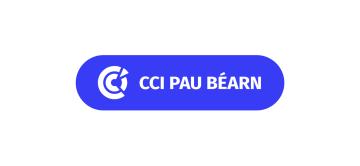 Logo CCI