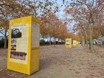 exposition sur l'art d'habiter à Pau entre 1920 et 1940