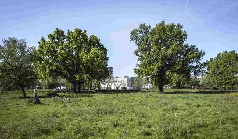 Terrain à vendre sur la Zone d'activité économique Pau Pyrénées 